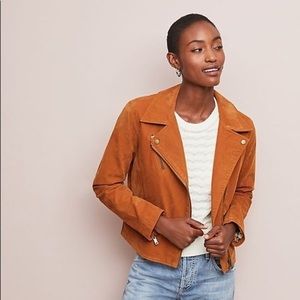 anthropologie biddle moto jacket